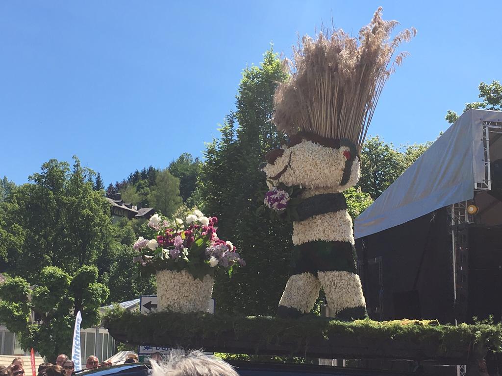 Alpine Appartments Ausseerland Bad Aussee Bagian luar foto